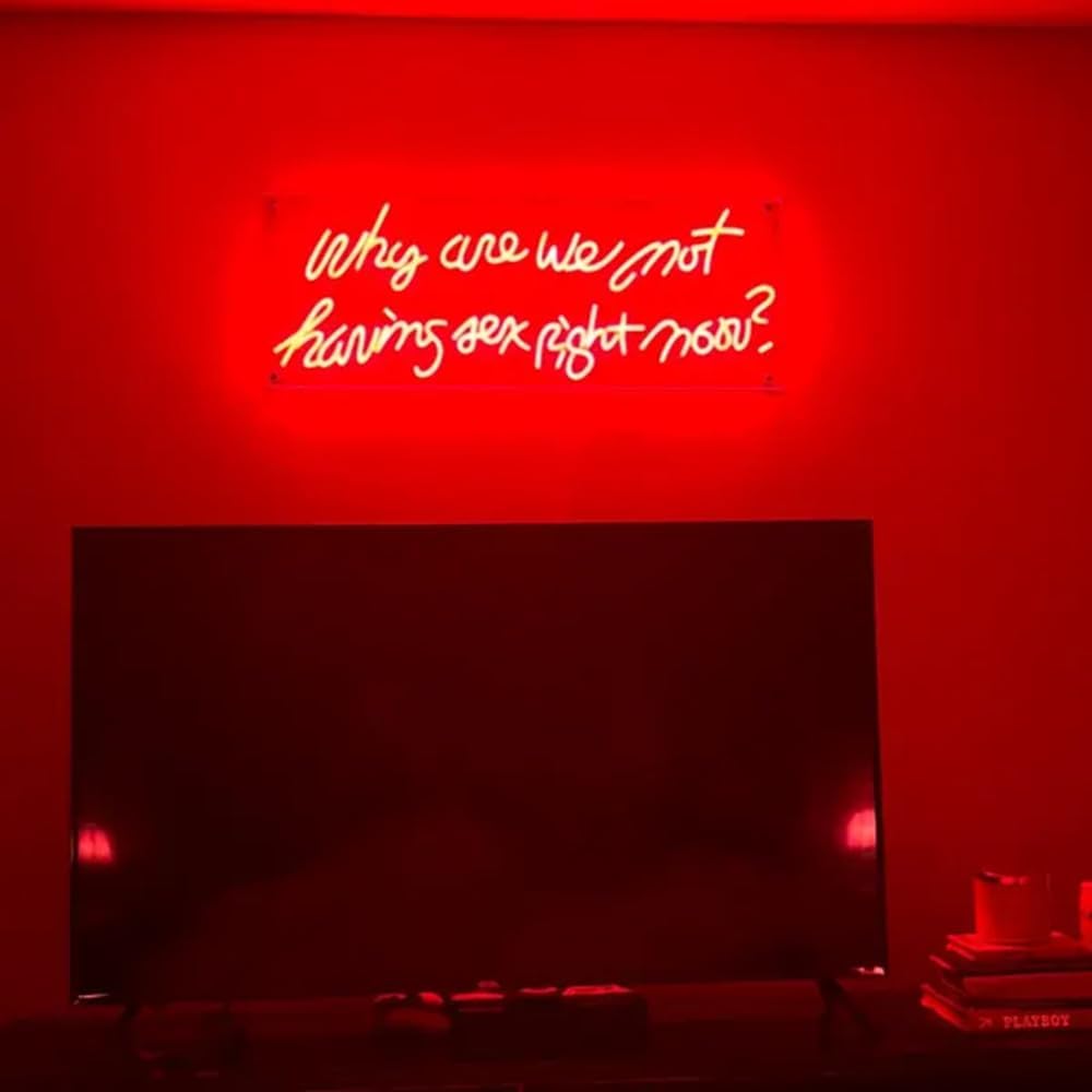Why Are We Not Having Sex Right Now Neon Sign, Led Neon Sign, Custom Neon Sign Bedroom Wall Decor Size:25inches