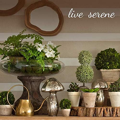 Serene Spaces Living Slim Clear Ribbed Glass Votive Holder, Decorative Centerpiece for Wedding, Christmas, Thanksgiving, Living Room, Home Décor, 2.25" Diameter & 6.25" Tall, Pack of 24