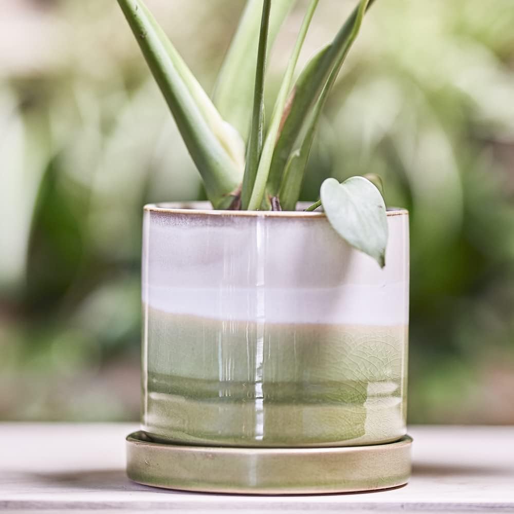 CHIVE ‘Minute’ Ceramic Planter Pot — Cute 5” Colorful Succulent Pots for Indoor & Outdoor House Plants — Beautiful Modern Farmhouse Kitchen Decor — Green Layers