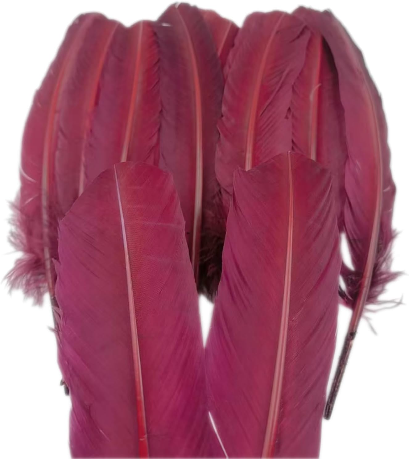 Burgundy Turkey Feathers,22 Pcs Natural Feathers Bulk Long 10-12 inch (25-30cm),Turkish Feather for Crafts DIY Wedding Home Party Mardi Gras Decorations (Burgundy)