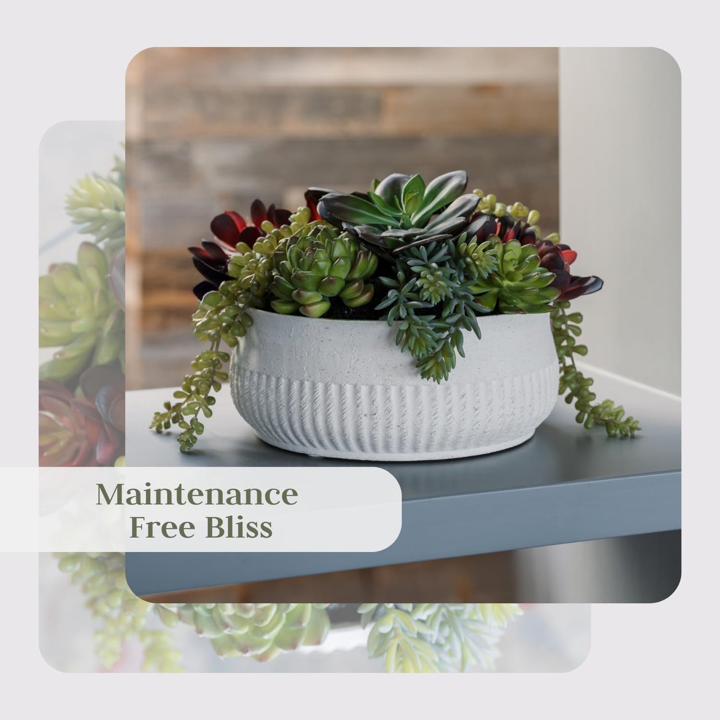Round Faux Succulent Arrangement, 12" Premium Artificial Indoor Plant Enhances Interior Design, Display on Any Surface in Your Home Adding an Inviting Touch of Nature, White Planter Pot Included