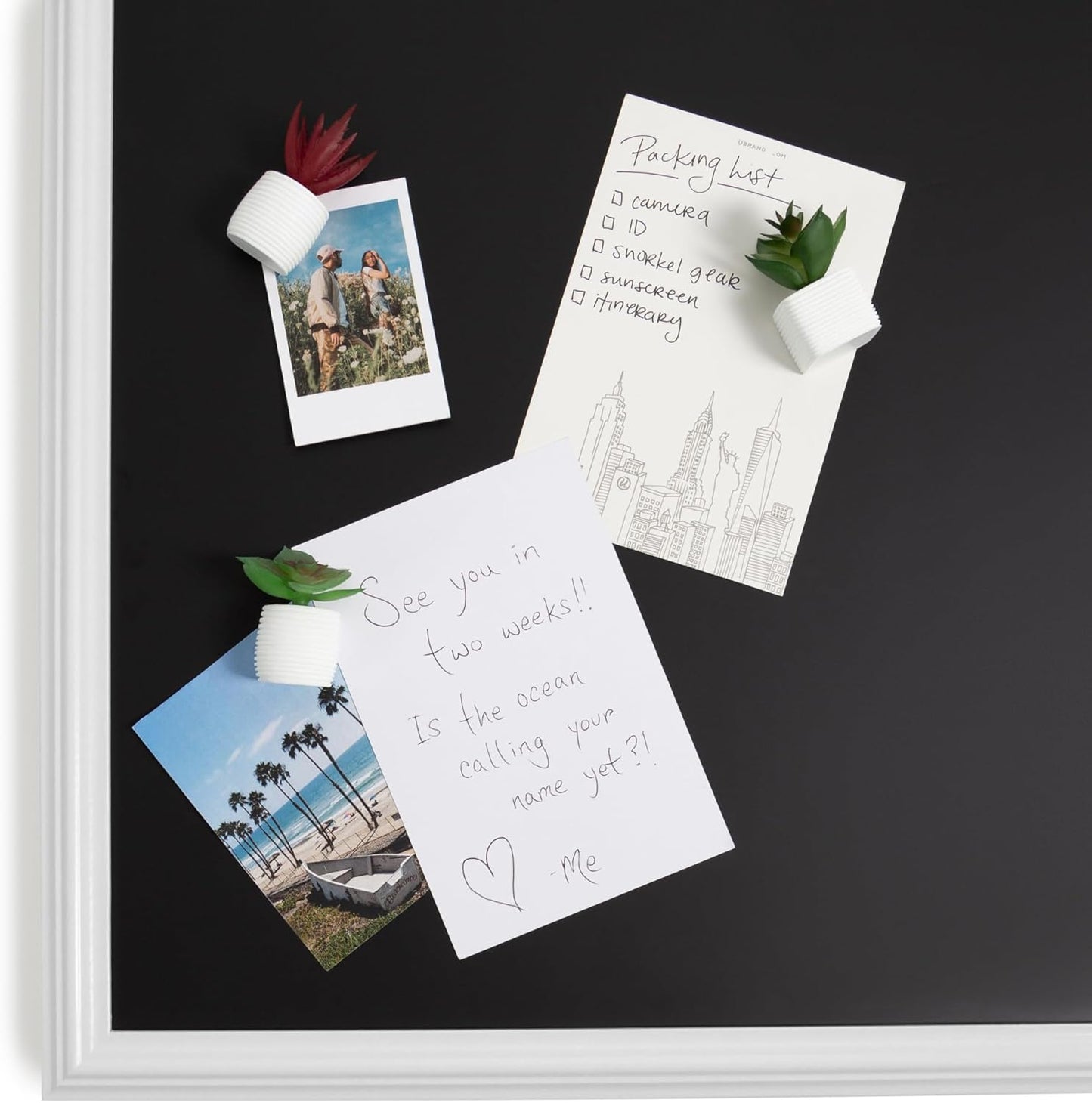 U Brands Mini Fashion Small Magnet Set, Green Succulents, 12 Count, Office Supplies for Classroom or Office Decor, Cute Magnets for Whiteboard