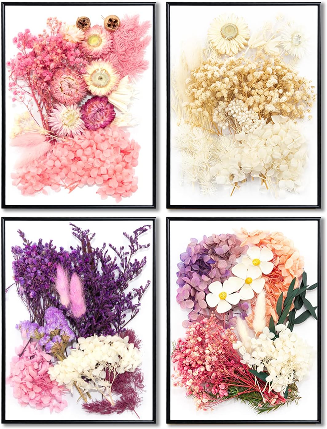 Vignee Real Dried Pressed Leaf Flowers-Multiple Colorful Pressed Flowers Daisies for Craft Resin Jewelry Making Art Craft DIY(White)