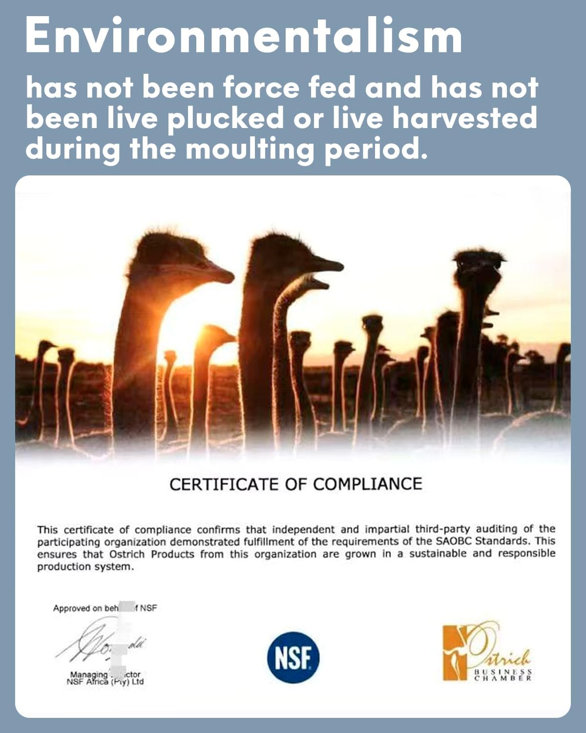 NEWONG 30pcs Champagne Ostrich Feathers Natural Bulk 11-14inch(28-35cm) Vase Craft Wedding Home Party Centerpieces Christmas Day Decoration