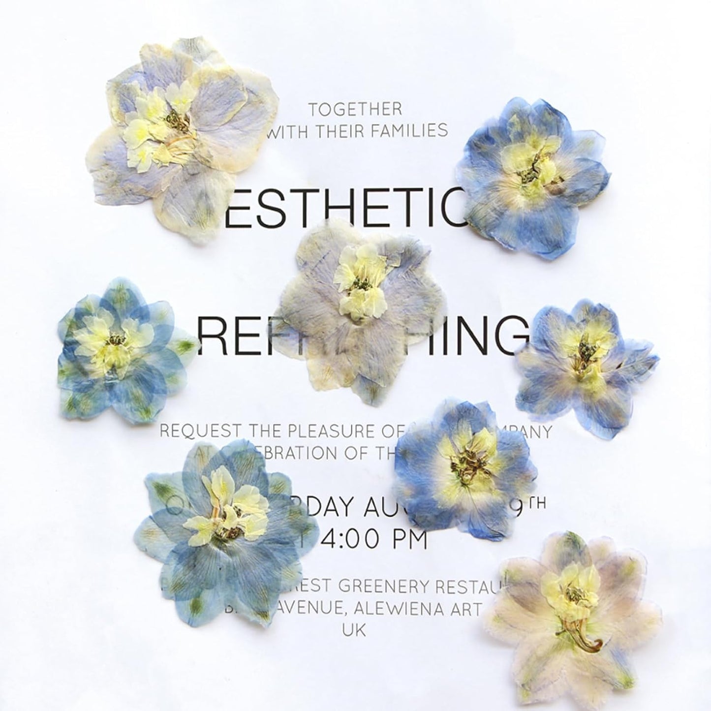 48 Pcs Dried Pressed Flowers for Resin DIY Art Crafts Natural Dry Sakura Larkspur Floral Epoxy Jewelry Real Flower Decor Cakes Phone Cases Candles Handmade Soap