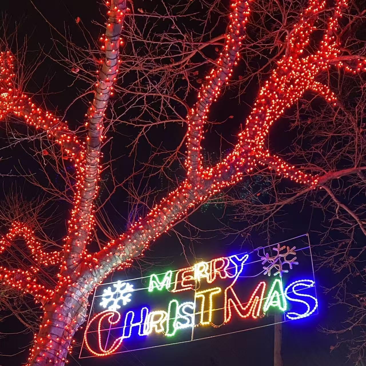 YEGUO 165ft 500 LED Halloween Lights Outdoor Waterproof, Red String Lights Plug in, Green Wire Twinkle Christmas Lights Indoor with Timer Memory 8 Modes