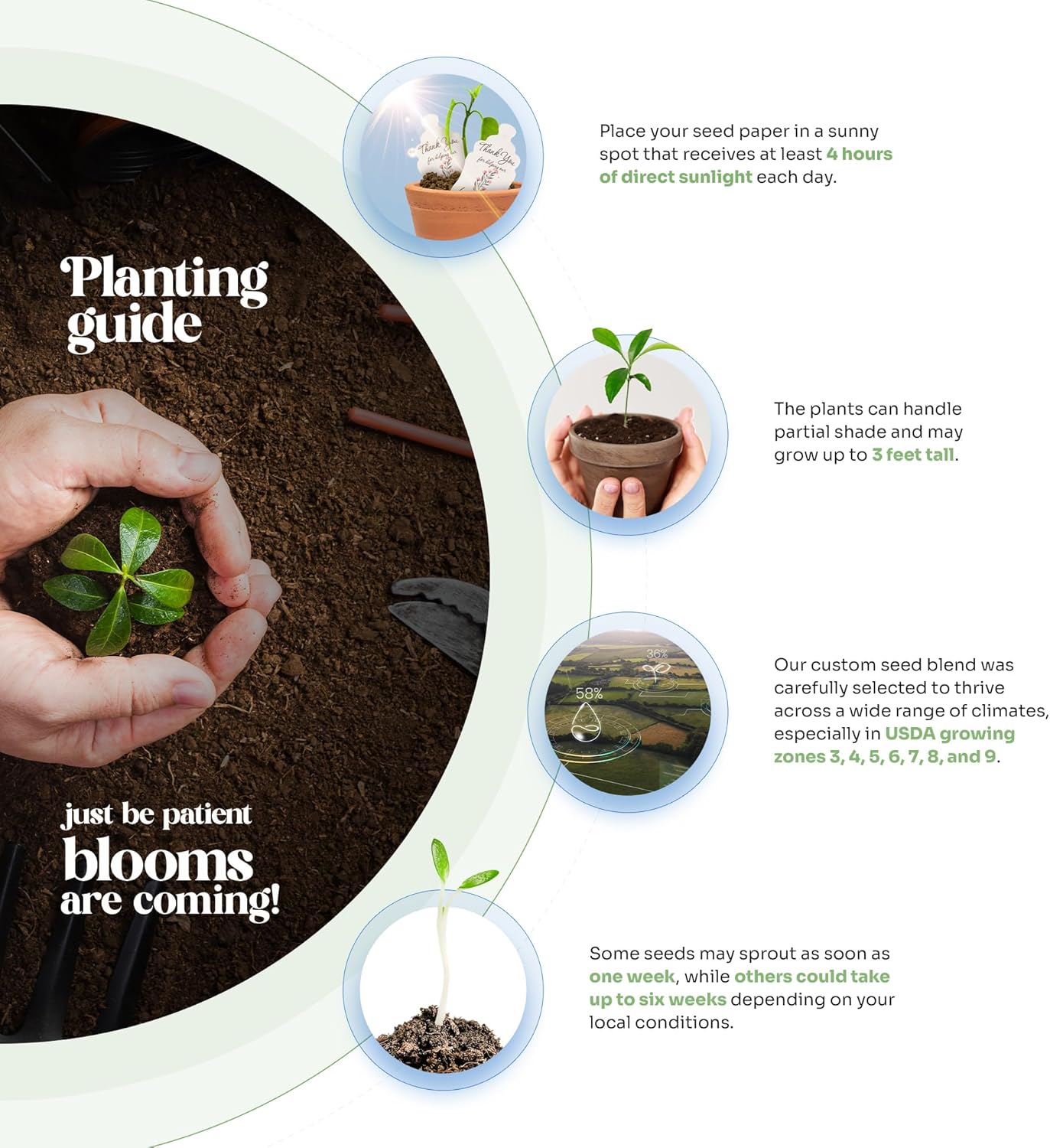 Set of 6 Seed Paper – 6 Purple Butterflies & 6 White Pots with Bow for Baby Shower, Gender Reveal, Birthday, & Other Milestone Celebrations