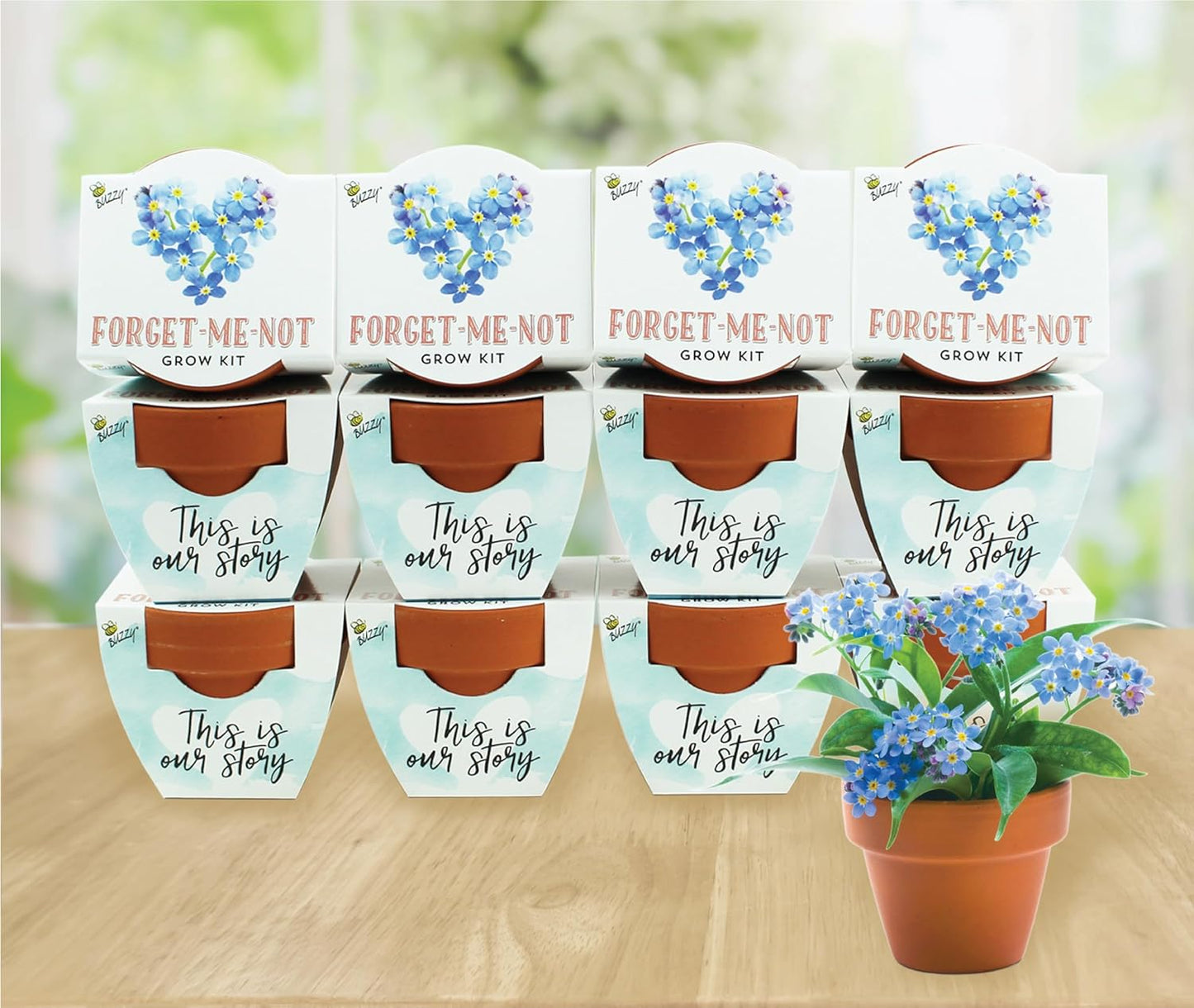 BUZZY Seeds Forget-Me-Not Terracotta Mini Grow Pots Love Collection, 12-Pack All-in-One Gardening Kit for Wedding Favors, Baby Shower Prizes, Birthday Gifts, or Party Favors