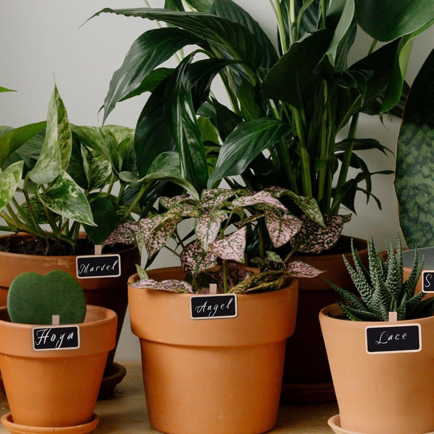 72 Count Chalkboard Signs Clips - Rectangle Wood Framed 2" x 1.5" Wooden Blackboard for Crafts, Home Decor, and Organization, Perfect for Special Occasions and Events Decoration