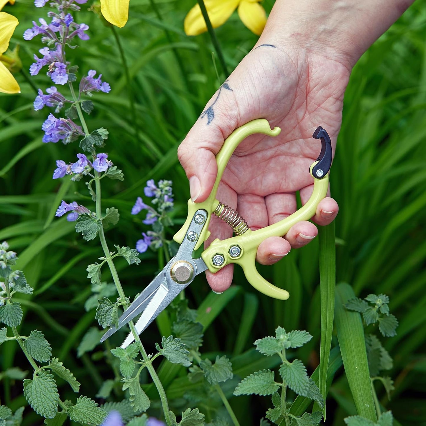 Modern Sprout Pruning Shears - Herb Snipping Scissors- Lightweight Gardening Tools W/Easy Lock - Flower Cutter Garden Shears - Carbon Steel Blade + Reusable Holster (Chartreuse, 1-Pack)