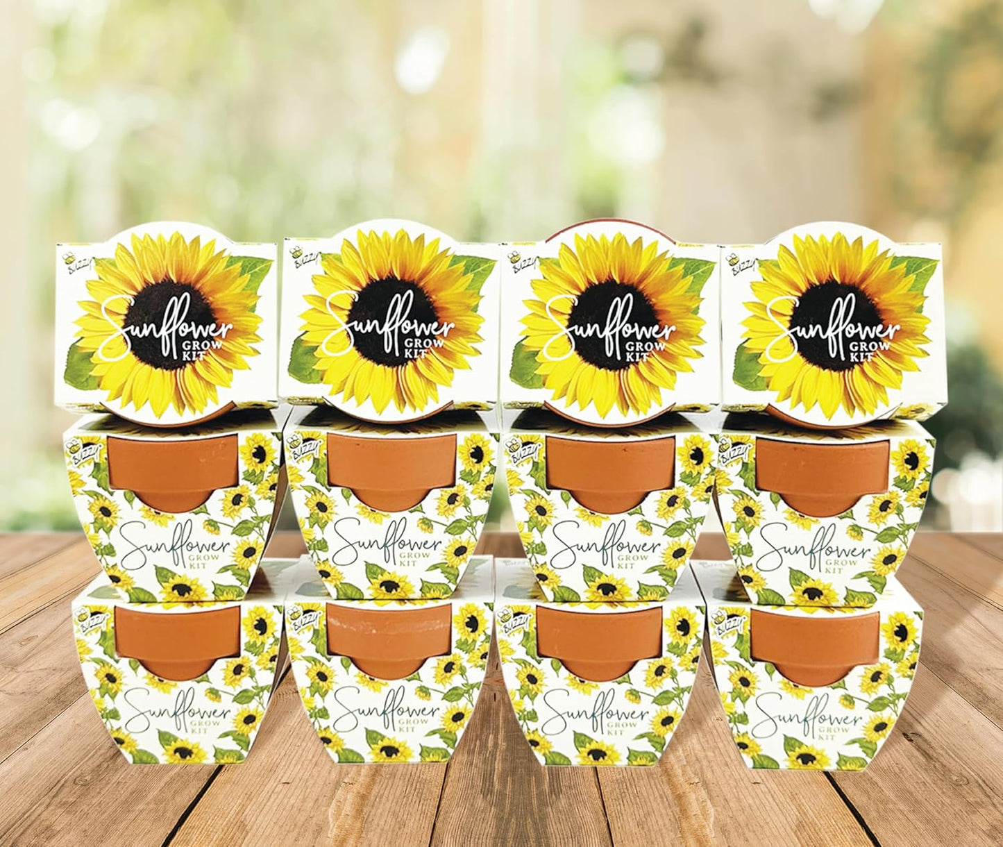 BUZZY Seeds All-in-One Sunflower Mini Terracotta Pot Grow Kits 12-Pack, Indoor Mini Garden Seed Starter for All Ages, Grow Your Own Vibrant Flowers, DIY Plant Project, Gardening Gift