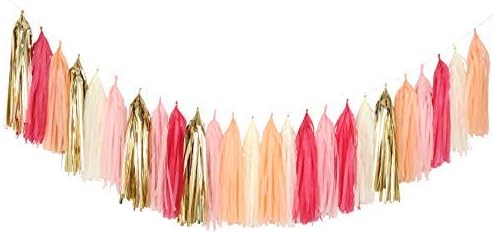 Fonder Mols Tissue Paper Tassel Garland Decor - Valentines Birthday Party, Bachelorette, Galentines Day, Gender Reveal, Christening Girl Baby Shower Decorations A07 - Color Pink,Hot Pink, Ivory, Gold