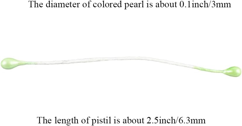 HAHIYO 700Pcs 3mm Light Green Pearl Double Head Flower Stamen Pistil Hand-Made Artificial Flower Pistil para Flore Pearlized Floral Stamen Flower Pollen Stamen for Flower Making Scrapbook Decoration