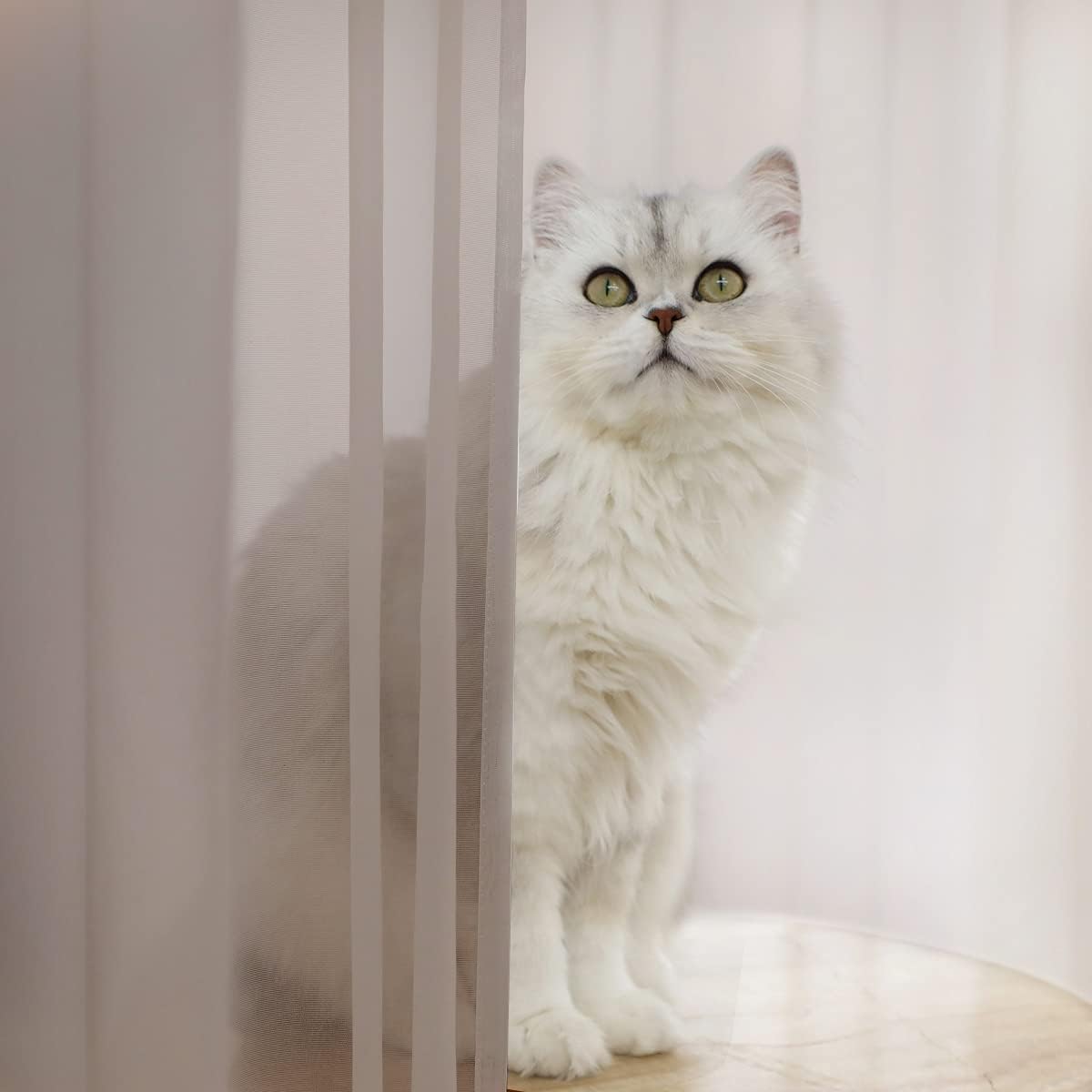 Window Light Grey Sheer Curtains 60 Inches Width 90 Inches Long 2 Panels Sheer Curtains Clear Curtains Basic Rod Pocket Panel for Home Living Room Bedroom Kids Room Yard Patio Parlor Sliding