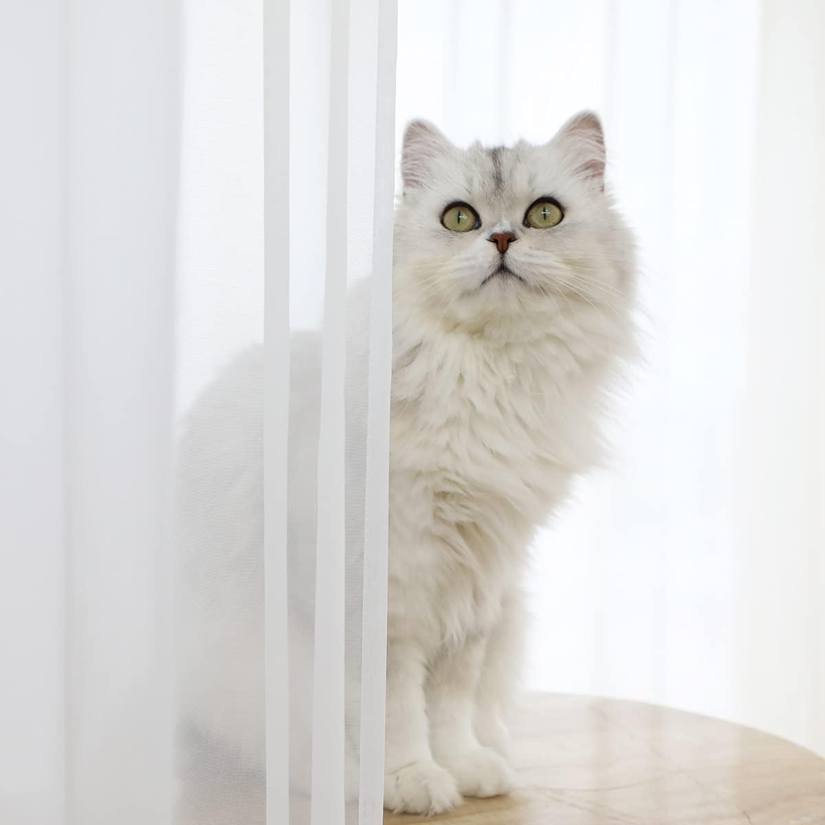 Window White Sheer Curtains 48 Inches Width 45 Inches Long 2 Panels Sheer Curtains Clear Curtains Basic Rod Pocket Panel for Home/Living Room/Bedroom/Kids Room