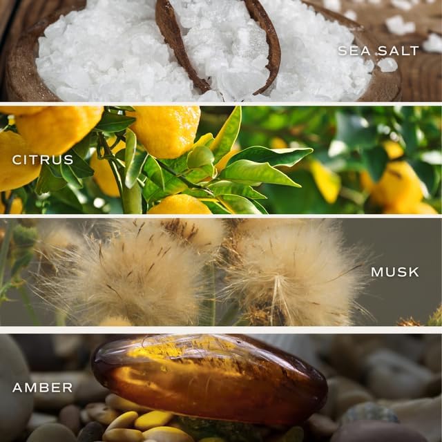 Sweet Water Decor Smells Like She’s Playing Mahjong Candle, Funny Mahjong Gift for Women, 9oz Candle with Gold Lid, Sea Salt Citrus Musk Amber Scent, Non-Toxic Soy Wax, Unique Game Night Gift Idea