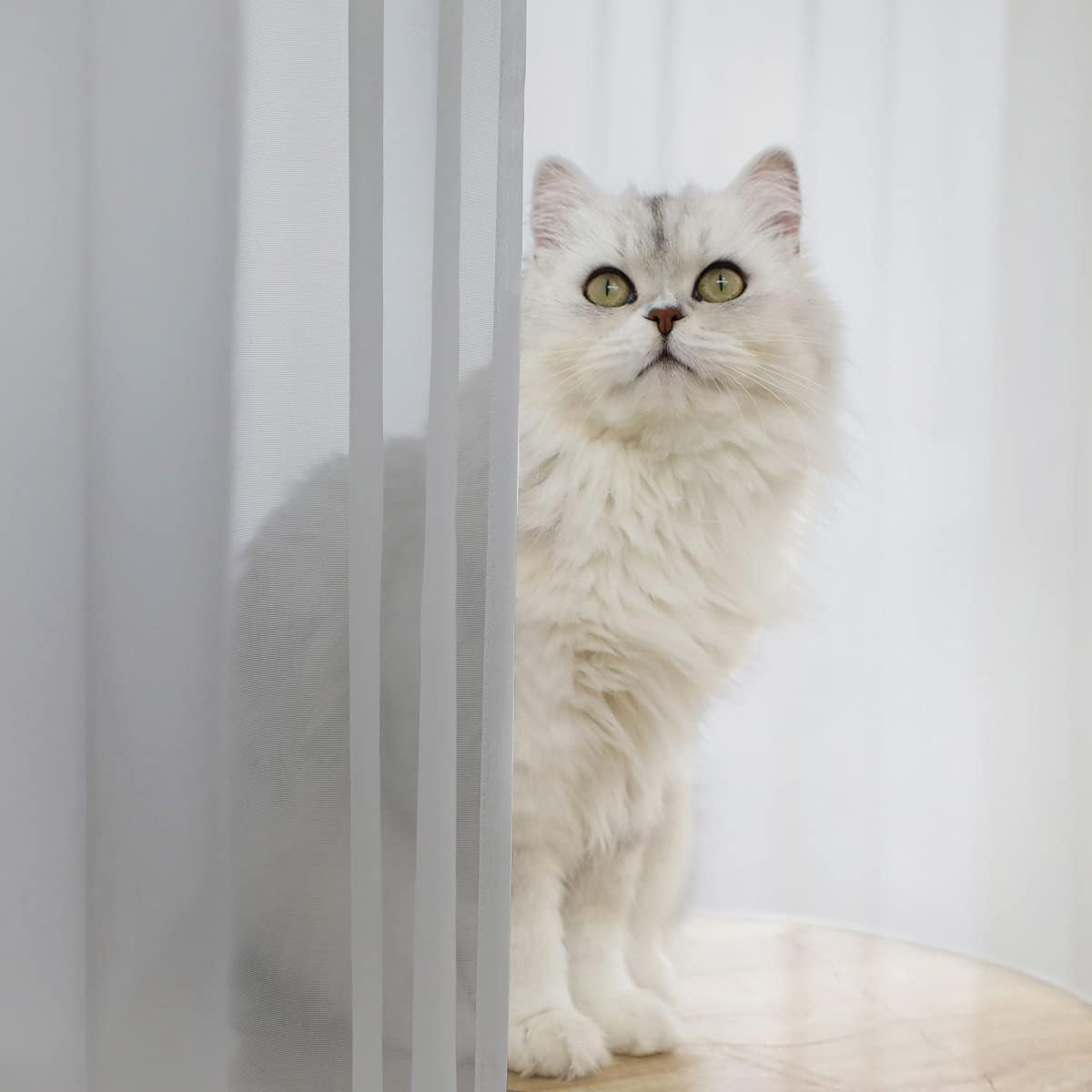 L&TEC Window Gray Sheer Curtains 63 Inches Long 2 Panels Sheer Curtain Basic Rod Pocket Panel for Bedroom Children Living Room Yard Kitchen