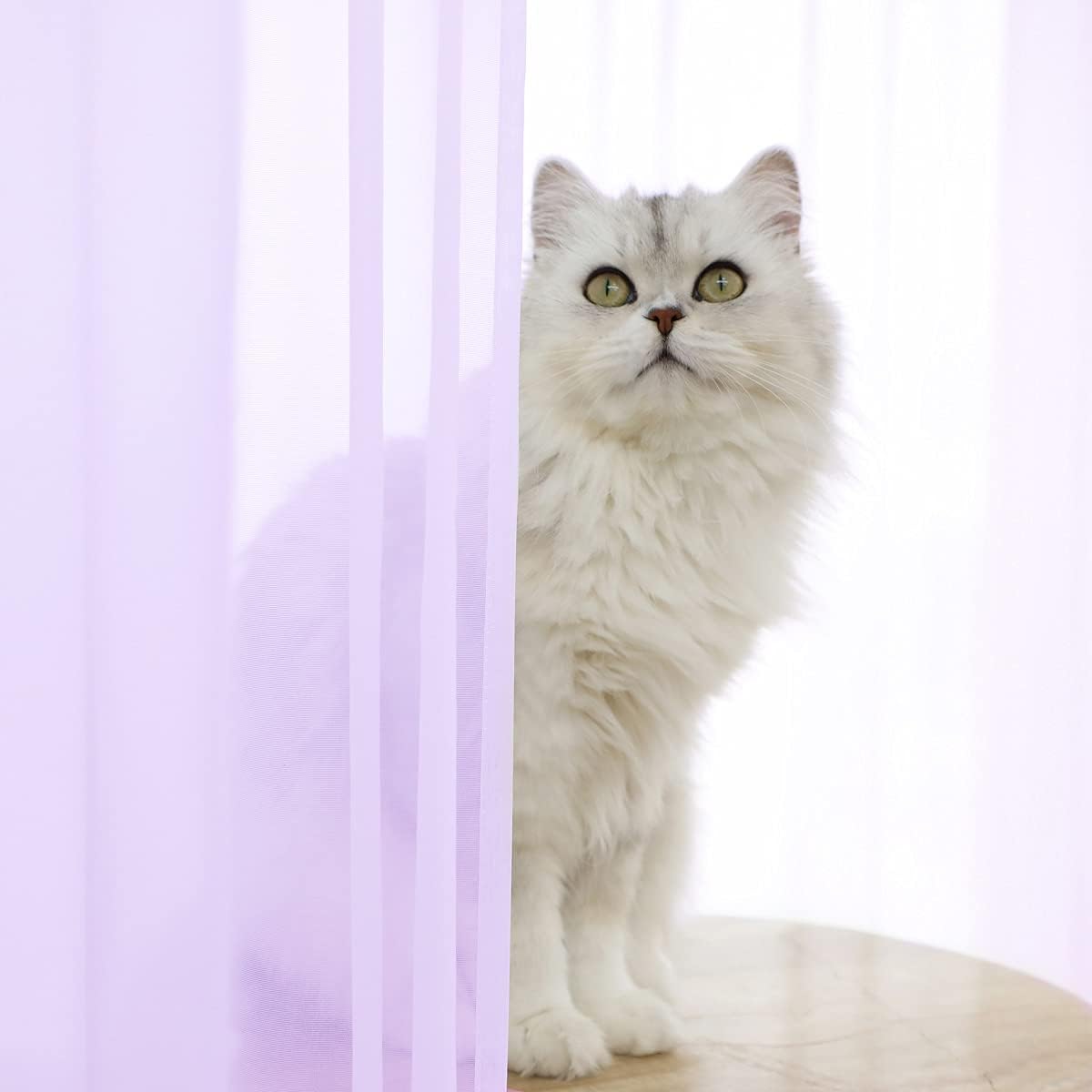 Window Purple Sheer Curtains 84 Inches Long 2 Panels Sheer Curtain Basic Rod Pocket Panel for Bedroom Children Living Room Yard Kitchen (Purple, 52" W x 84" L | 2 pcs)