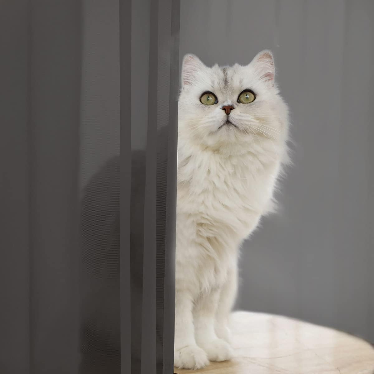 Window Dark Gray Sheer Curtains 95 Inches Long 2 Panels Sheer Curtain Basic Rod Pocket Panel for Bedroom Children Living Room Yard Kitchen (Dark Gray, 52" W x 95" L | 2 pcs)