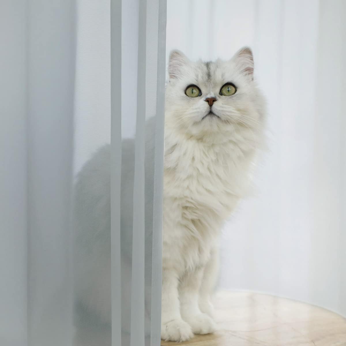 Window Light Gray Sheer Curtains 108 Inches Long 2 Panels Sheer Curtain Basic Rod Pocket Panel for Bedroom Children Living Room Yard Kitchen (Light Gray, 52" W x 108" L | 2 pcs)