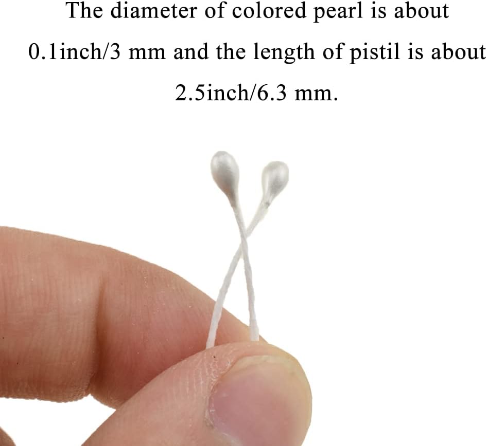HAHIYO 700Pcs 3mm White Pearl Double Heads Flower Stamen Pistil Hand-Made Artificial Flower Pistil para Flores Pearlized Floral Stamen Flower Pollens Stamen for Flower Making Scrapbook Decoration