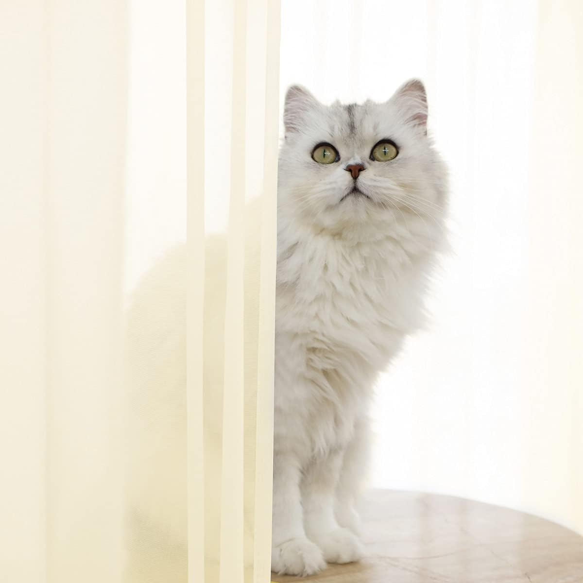 Window Light Yellow Sheer Curtains 60 Inches Width 72 Inches Long 2 Panels Sheer Curtains Clear Curtains Basic Rod Pocket Panel for Home Living Room Bedroom Kids Room Yard Patio Parlor Sliding