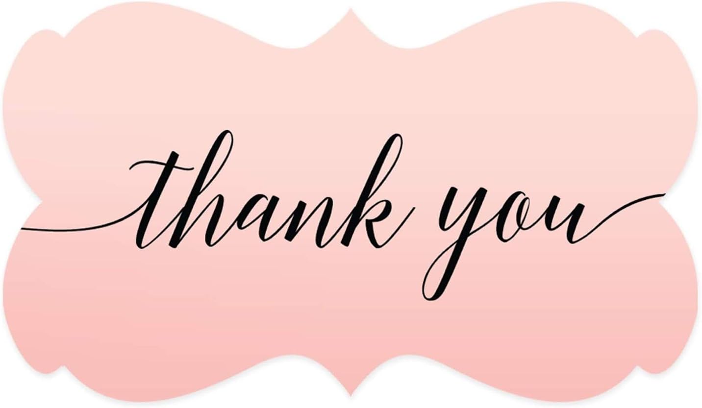 Andaz Press Blush Pink Rose Elegant Party Collection, Fancy Frame Label Stickers, Thank You, 42-Pack, Favors Decor Envelope Seals