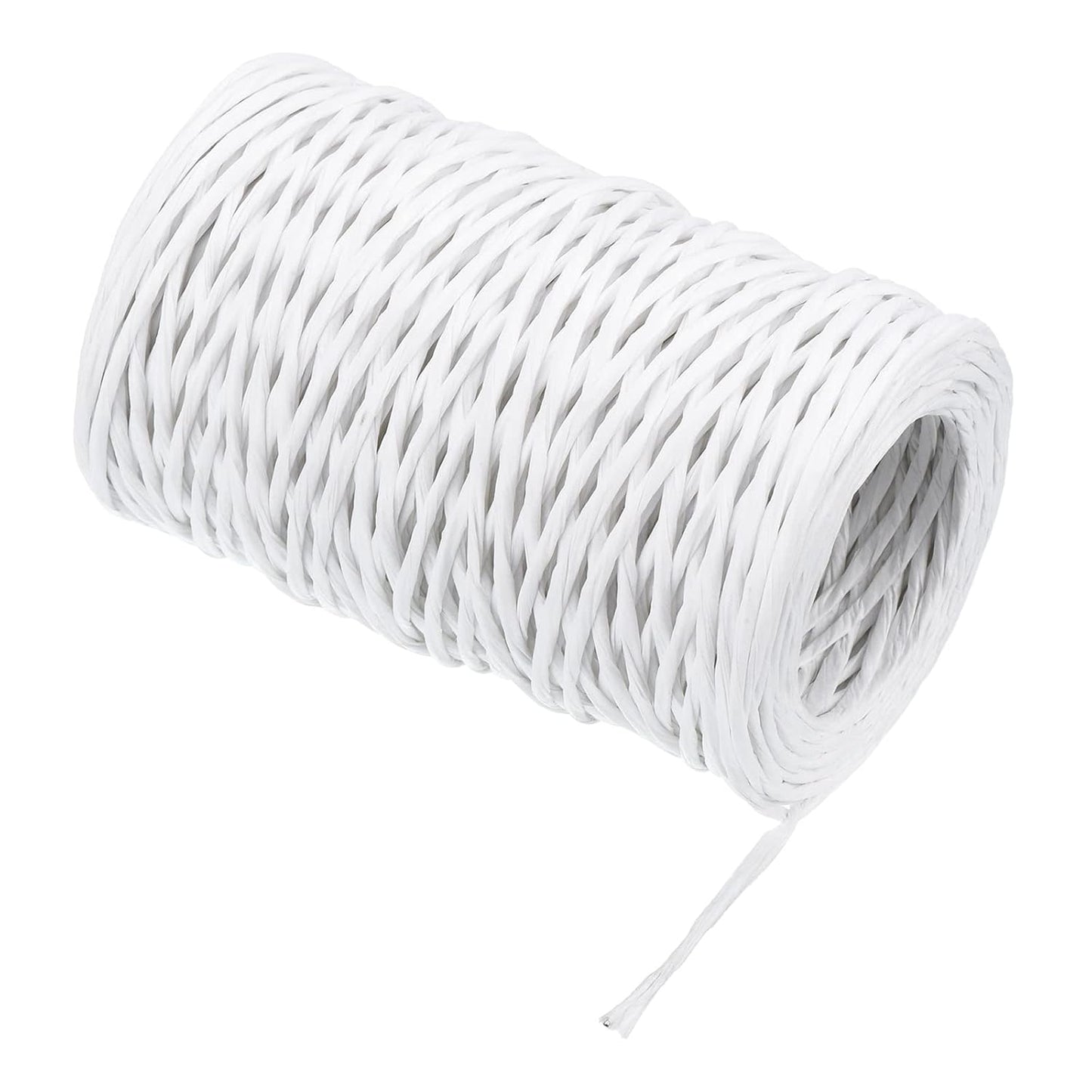 PATIKIL 164 Feet Floral Bind Wire Wrap Twine, 2mm Florist Wire Iron Wire Paper Covered Vine Wrapping Binding Wire for Flower Bouquets, White