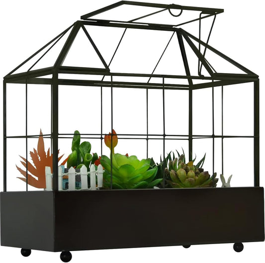 Large Tall Plant Terrarium Glass Greenhouse with Lid and Tray, Indoor Tabletop Orchid Succulent Cacti Kit 9.5'X9.8'X5.6'
