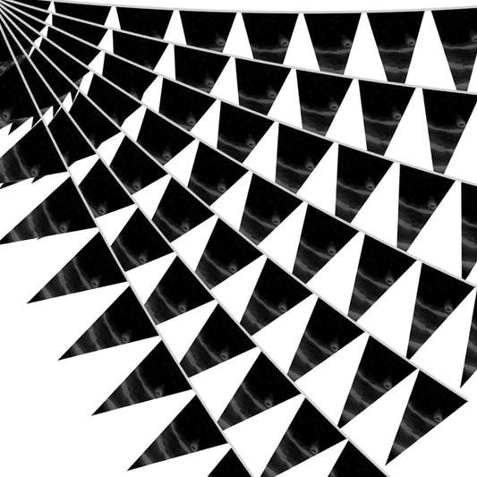 20M/65FT Black Triangle Pennant Banner Flag Metallic Fabric Bunting Garland for Christmas Graduation Birthday Wedding Engagement Bachelorette Holiday Halloween Celebration Hen Party Supplies