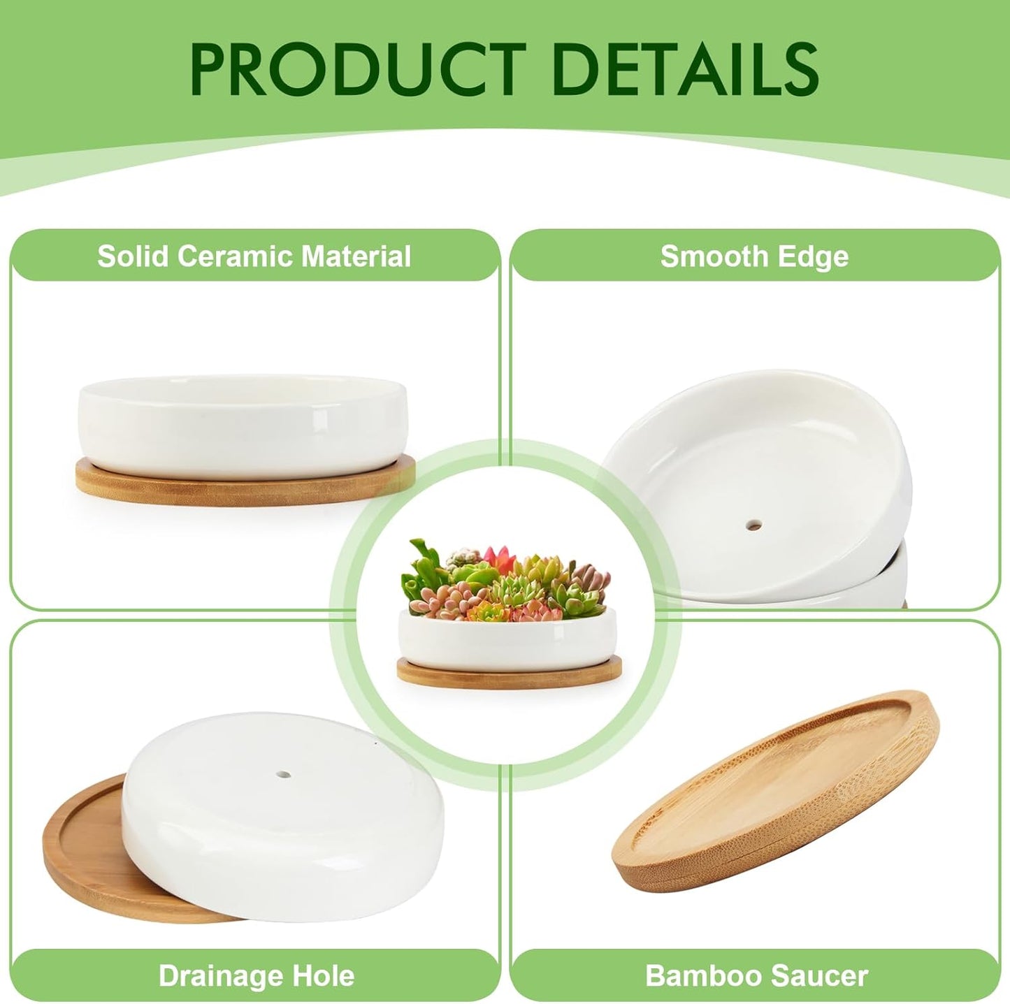 ZOUTOG Succulent Pots,6 Inch Succulent Planters with Drainage and Tray,4 Pack White Ceramic Planters for Indoor Plants,Round Shallow Flower Plant Pots