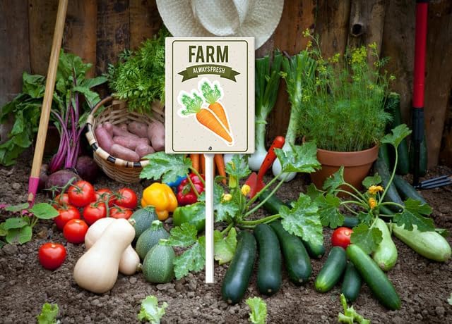 Eveokoki Aluminum Seed & Plant Labels - Plant Markes for Seedlings-Plant Tags for Pots - Garden Signs for Vegetable - Durable Markers for Plants Outdoor Waterproof - Garden Decor for Farmhouse