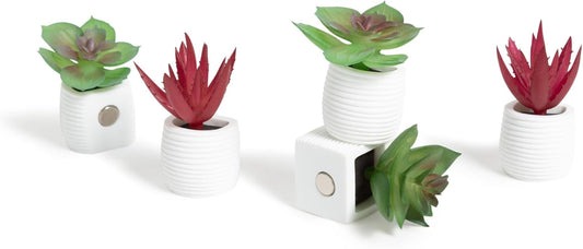 U Brands Mini Fashion Small Magnet Set, Green Succulents, 12 Count, Office Supplies for Classroom or Office Decor, Cute Magnets for Whiteboard