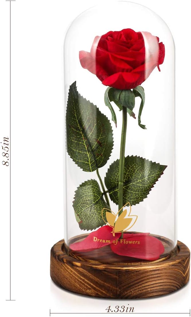 Christmas Day Rose Gifts for Her,Beauty and The Beast Rose in Glass Dome Lasts Forever Red Rose with LED Lights,Gifts for Women Mom Wife,Anniversary,Thanksgiving Gifts,Wedding Home Decor