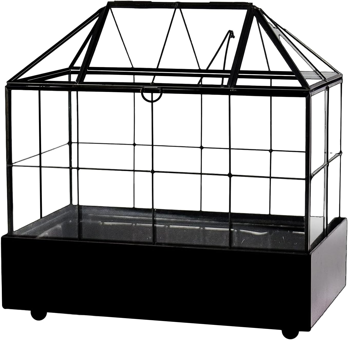 Large Tall Plant Terrarium Glass Greenhouse with Lid and Tray, Indoor Tabletop Orchid Succulent Cacti Kit 9.5'X9.8'X5.6'