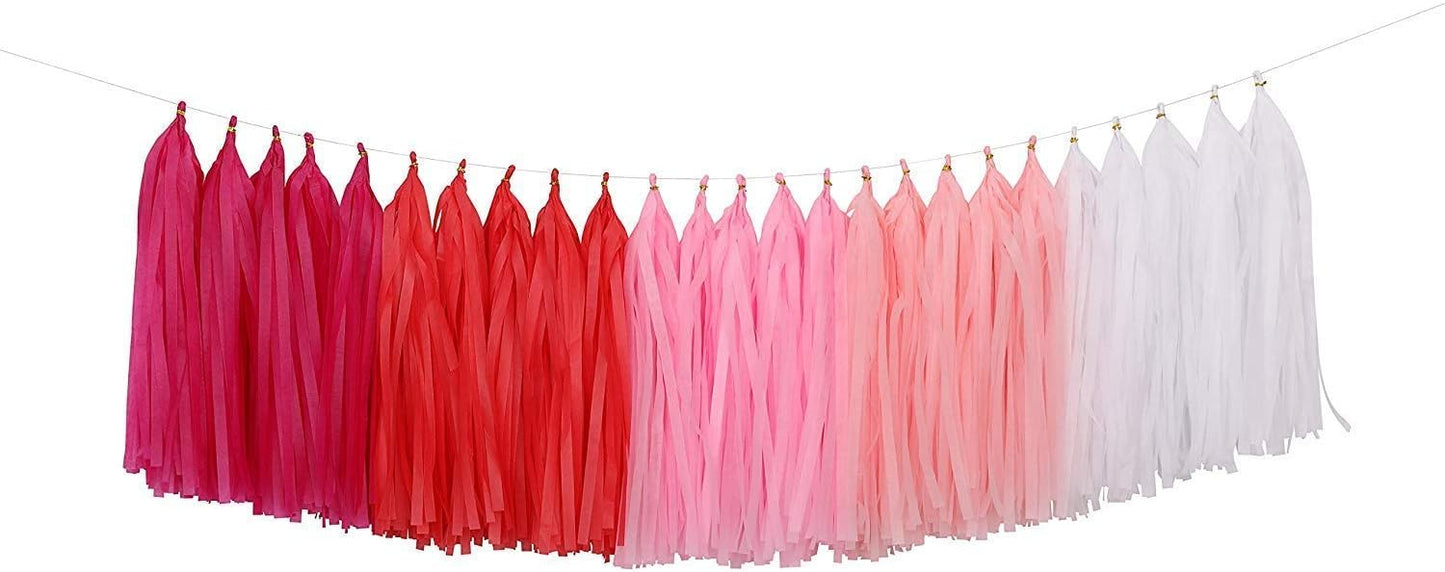 Fonder Mols Tassel Garland DIY Kit (25pcs, Pink Ombre) - Balloon Tail Banner - Bachelorette Party & Baby Shower Decorations