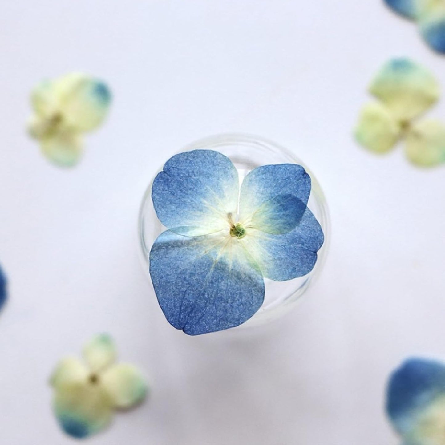 48 Pcs Dried Pressed Flowers for Resin DIY Art Crafts Natural Dry Hydrangea Floral Epoxy Jewelry Real Flower Decor Cakes Phone Cases Candles Handmade Soap Hydrangea