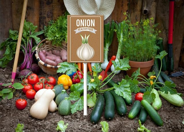 Eveokoki Aluminum Seed & Plant Labels - Plant Markes for Seedlings-Plant Tags for Pots - Garden Signs for Vegetable - Durable Markers for Plants Outdoor Waterproof - Garden Decor for Farmhouse