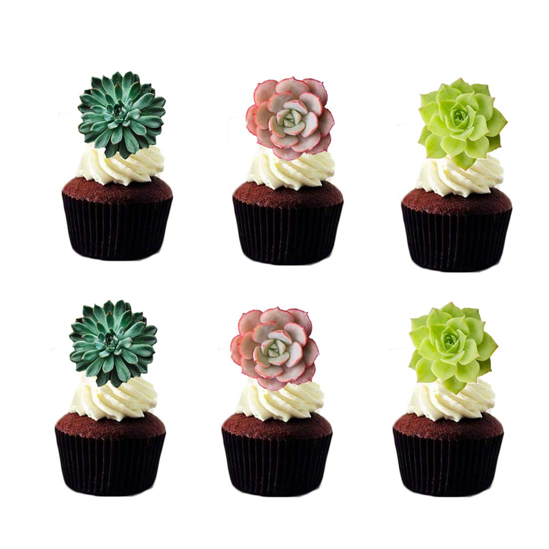 24pcs Edible Cupcake toppers Succulents Hawaiian Party Cake Summer Decoration,Not 3D …