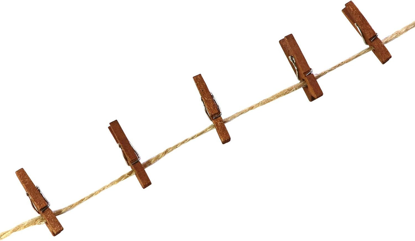 Mini Natural Wooden Clothespins with Jute Twine, 250pcs, 1 Inch Photo Paper Peg Pin Craft Clips with 66ft Natural Twine for Scrapbooking, Arts & Crafts, Hanging Photos (Rustic Brown)