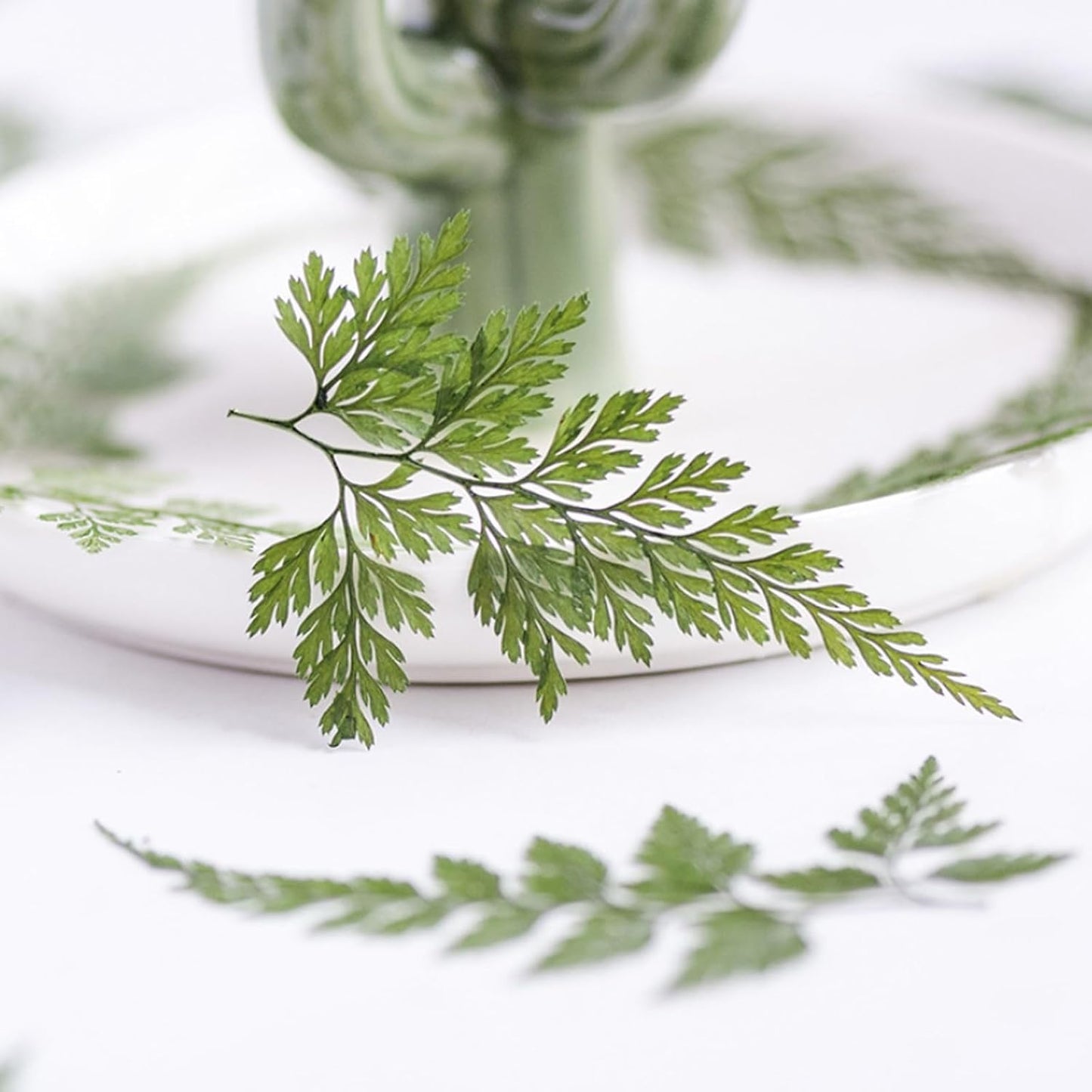 48 Pcs Dried Pressed Flowers Leaves Ferns for Crafts Art Resin DIY Natural Dry Green Leaf Epoxy Jewelry Real Rose Flower Decor Cakes Phone Cases Bookmarks Candles Handmade Soap Ferns