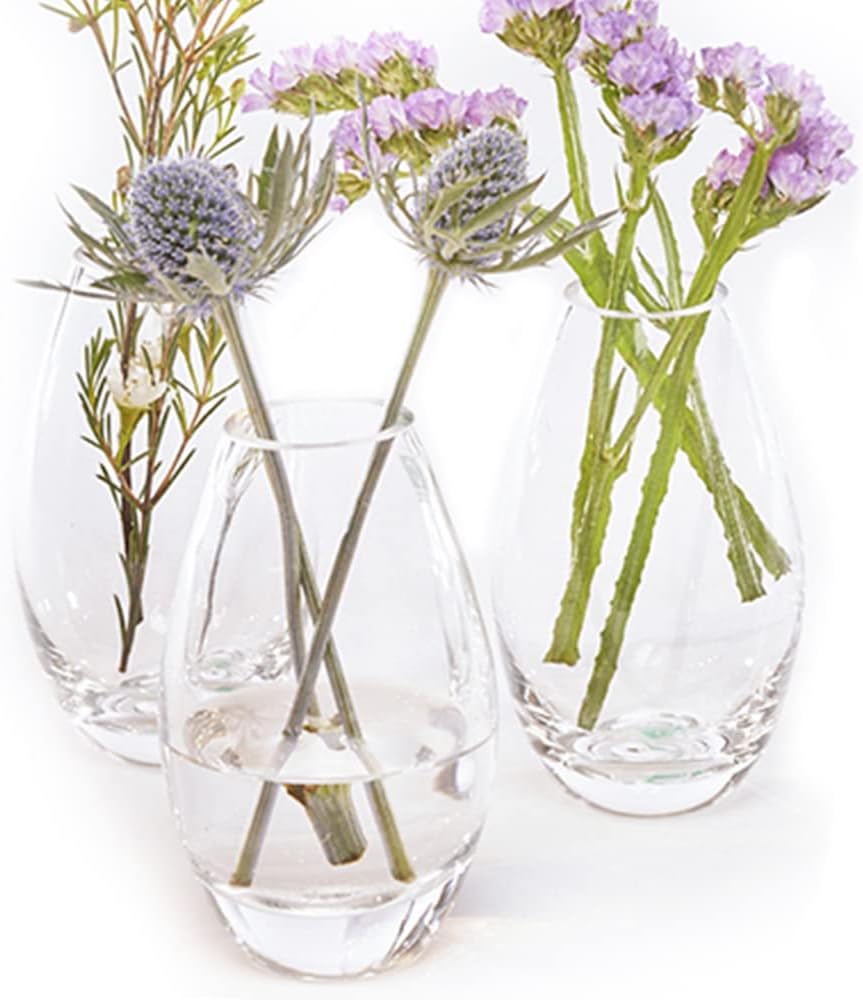 CHIVE ‘George’ Glass Bottle Flower Vases — Set of 6 — Small, Elegant Clear Glass Bud Vases — Bulk Pack for Home Decor & Table Centerpieces — Shape 5 (Oval, 5” Tall, 2.5” Wide)