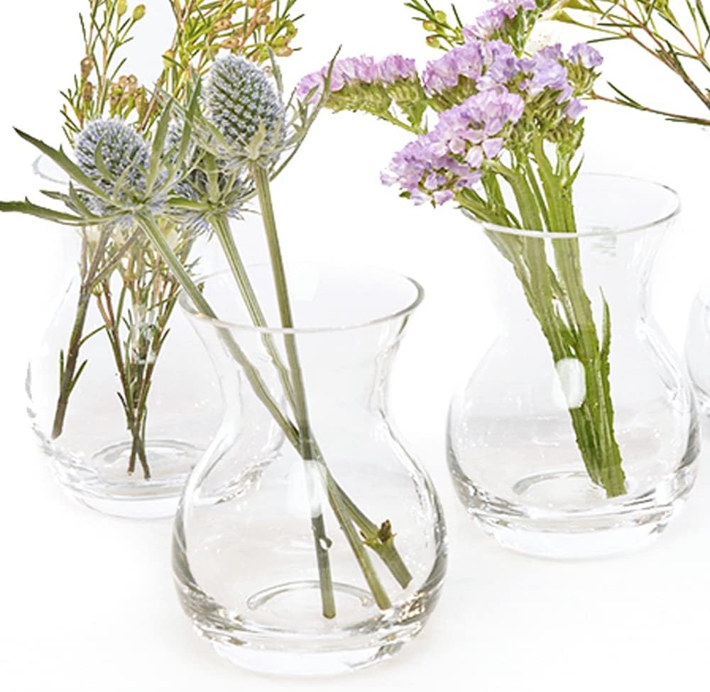 CHIVE ‘George’ Glass Bottle Flower Vases — Set of 6 — Small, Elegant Clear Glass Bud Vases — Bulk Pack for Home Decor & Table Centerpieces — Shape 4 (Oval, 4” Tall, 3” Wide)