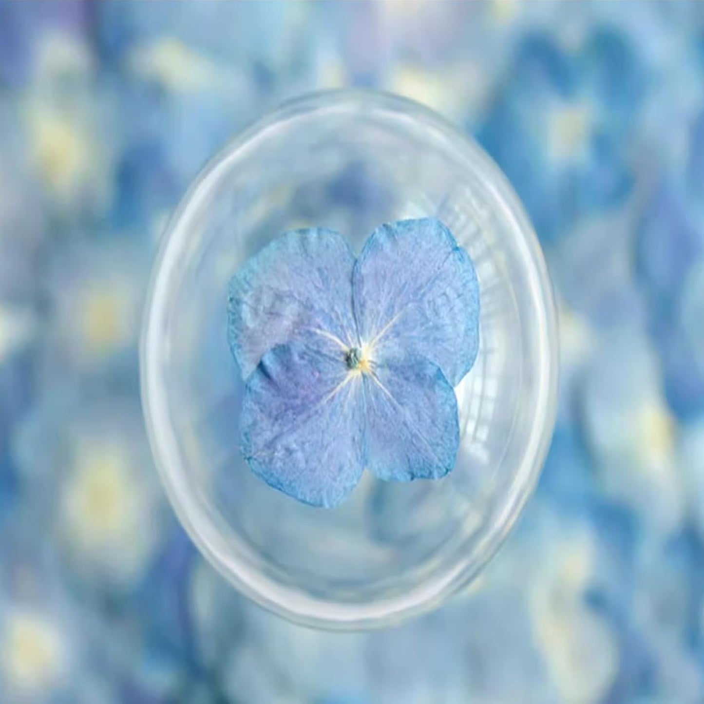 48 Pcs Dried Pressed Flowers for Resin DIY Art Crafts Natural Dry Hydrangea Floral Epoxy Jewelry Real Flower Decor Cakes Phone Cases Candles Handmade Soap Hydrangea