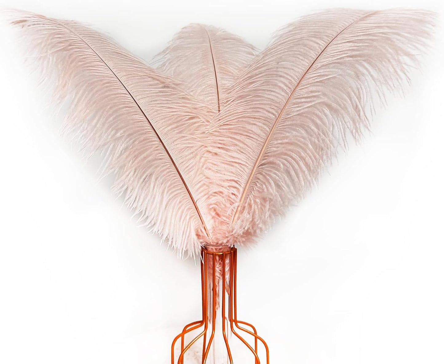 Happy Feather 16-18 inch Purple Ostrich Feathers Craft for Wedding Party Centerpieces Home Decoration DIY Craft Pack of 10-Champagne