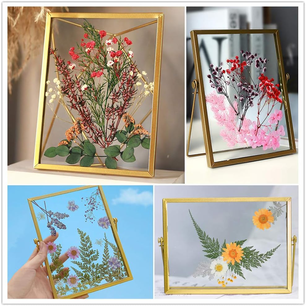 Vignee Real Dried Pressed Leaf Flowers-Multiple Colorful Pressed Flowers Daisies for Craft Resin Jewelry Making Art Craft DIY（Blue）