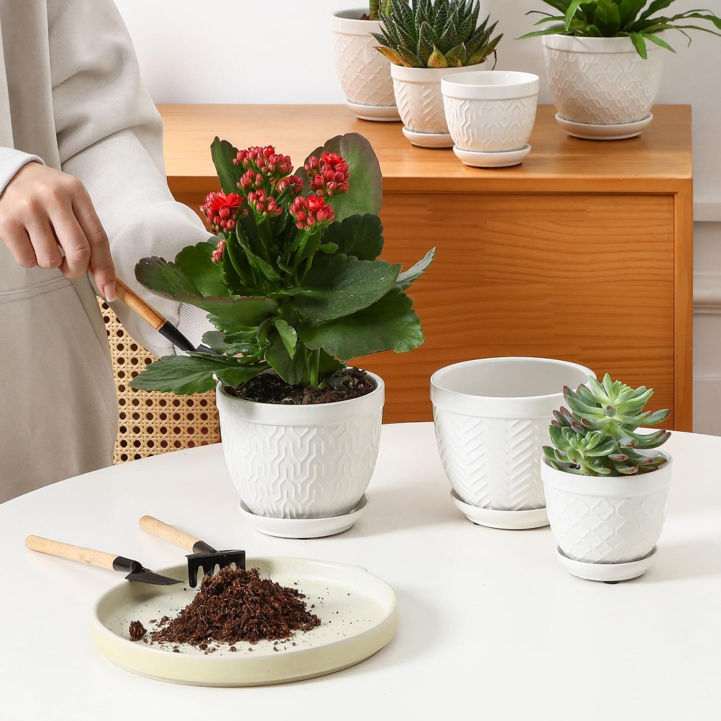 Sureasy Ceramic Plant Pots, 4.7 Inch Flower Pots for Indoor Plants, Succulent Pots with Saucer and Drainage Hole, Decorative Planter for Succulent, Cactus, Set of 4, White