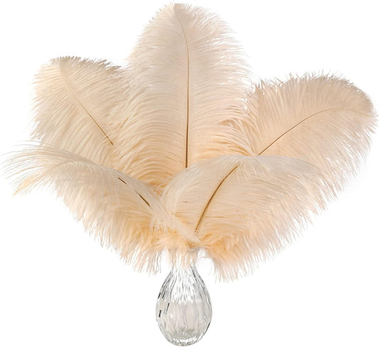 Ballinger Light Salmon Ostrich Feathers - 24pcs 12-14inch Big Feathers for Crafts，Wedding Party Centerpieces and Home Decor