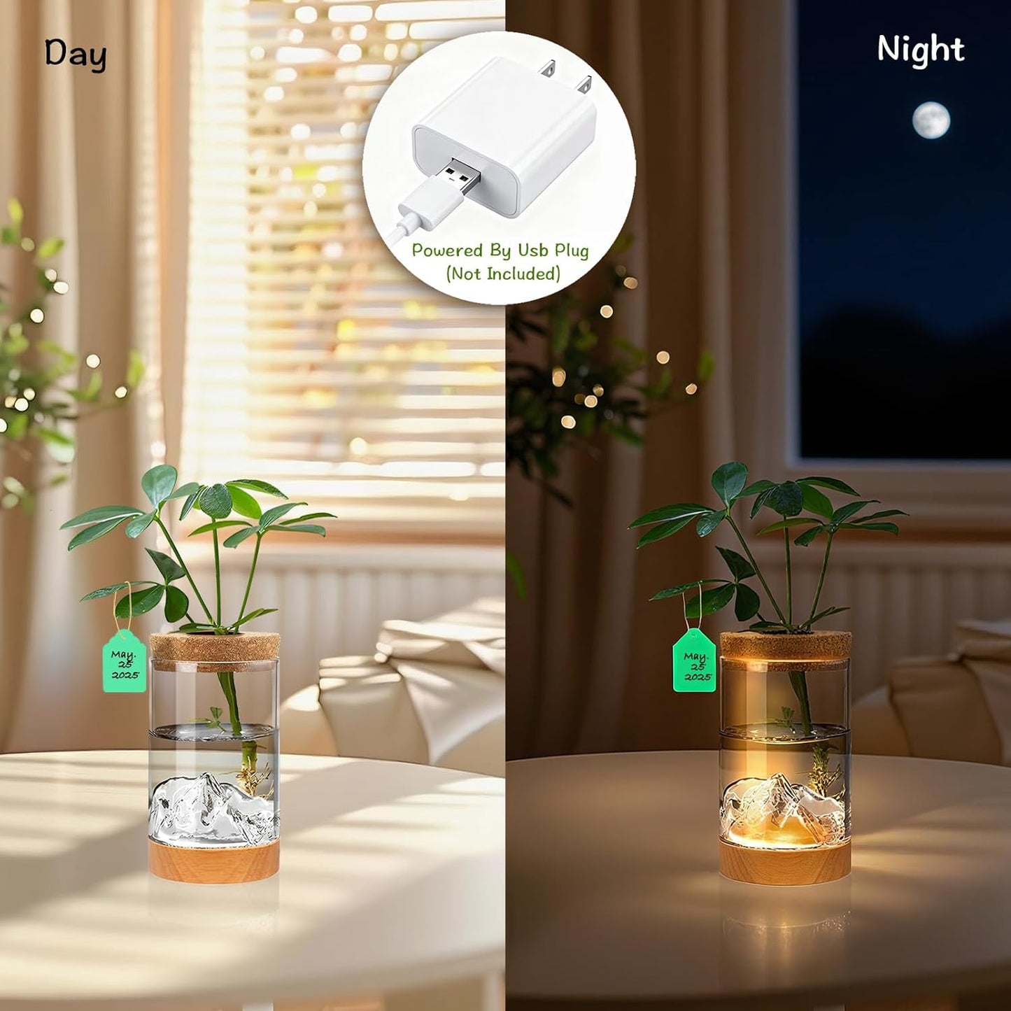 2Pcs Plant Propagation Station with Mountain-Shaped Bottom - Hydroponic Glass Vases, Wooden Base with Lighting, Terrarium Jars for Indoor Growing, Desktop Vivarium, Ideal Gifts for Plant Lovers