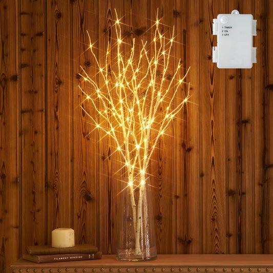 Hairui Lighted Artificial Twig Birch Branch with Fairy Lights 30IN 100 LED Battery Operated, White Willow Branch with Lights for Christmas Holiday Wedding Party Decoration
